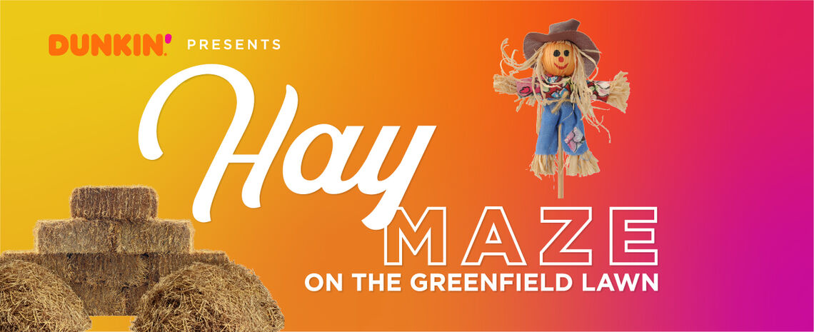 21 web haymaze header