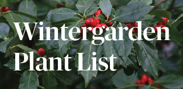 wintergarden plant list button 01