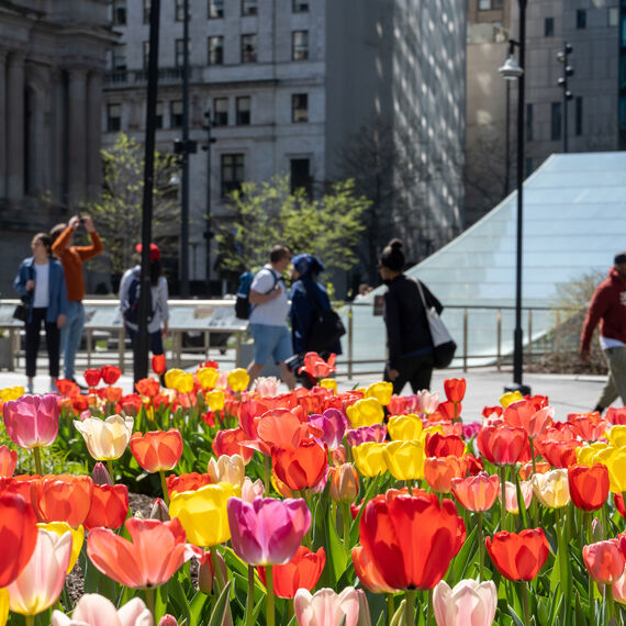 Center City District Social Links