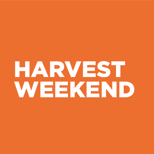 23 web hw icon