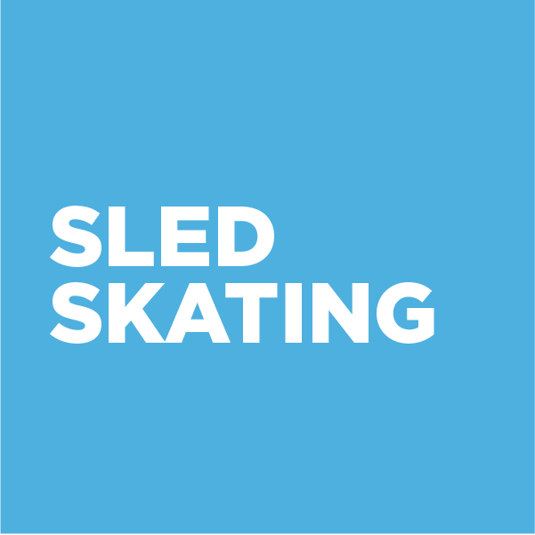 23 web sled skating icon