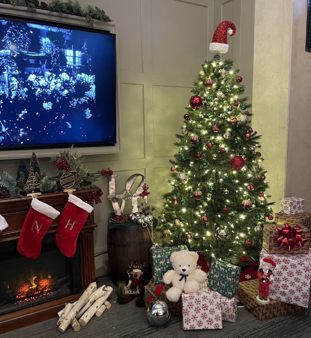 the notary phj library festive