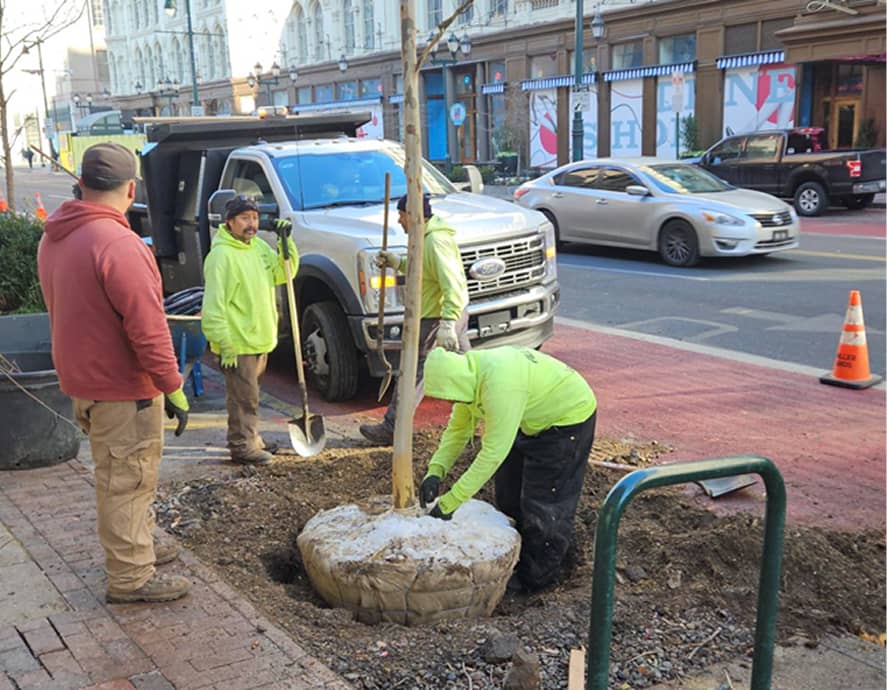 Workers in bright jackets plant a tree along a city street. A truck is parked nearby, and cars pass on the road under a clear sky, creating a busy urban scene.
