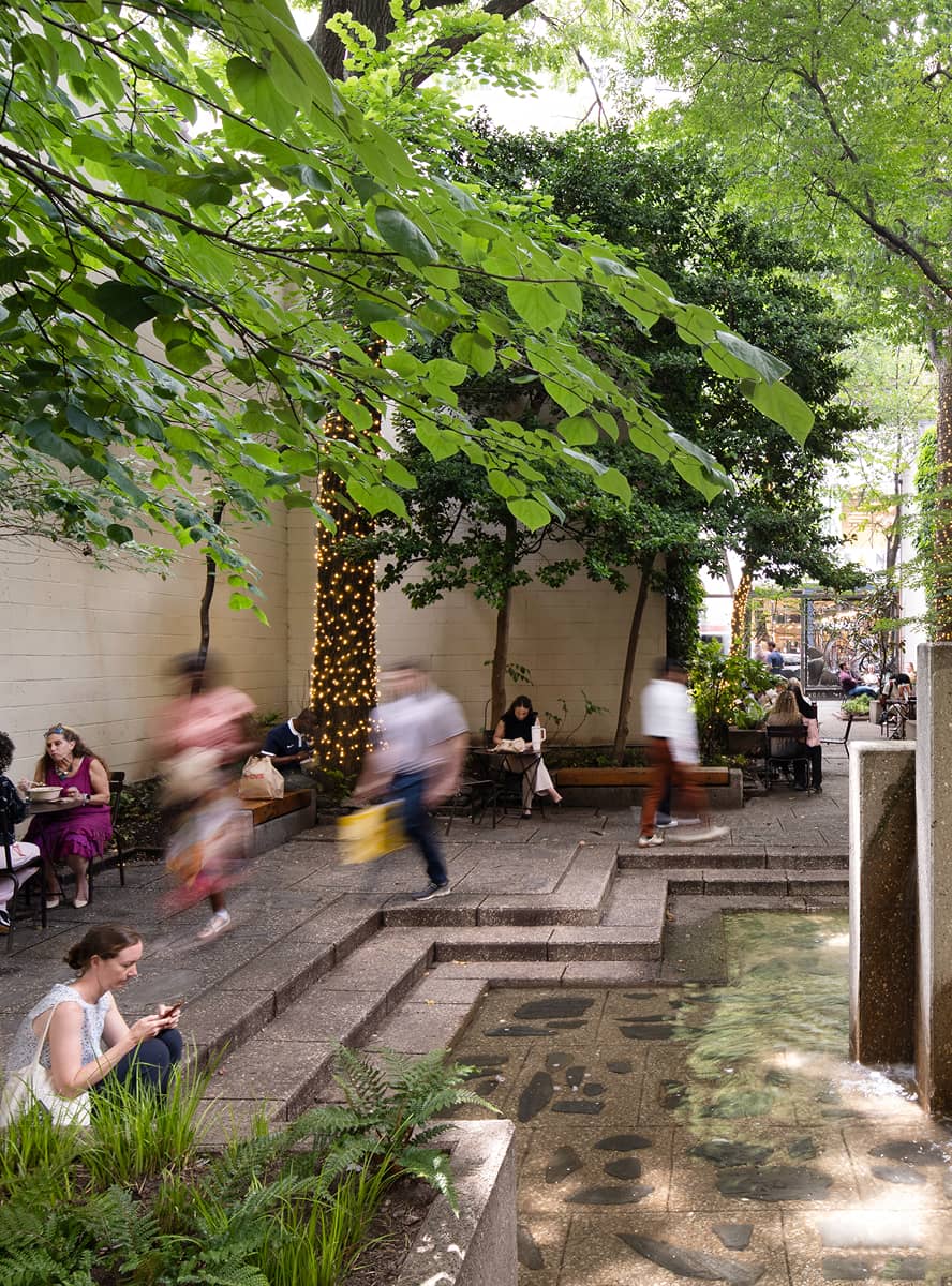 A tranquil city garden with lush trees, string lights wrapped around trunks, and seating. People relax on benches; a small pond adds a calming ambiance.