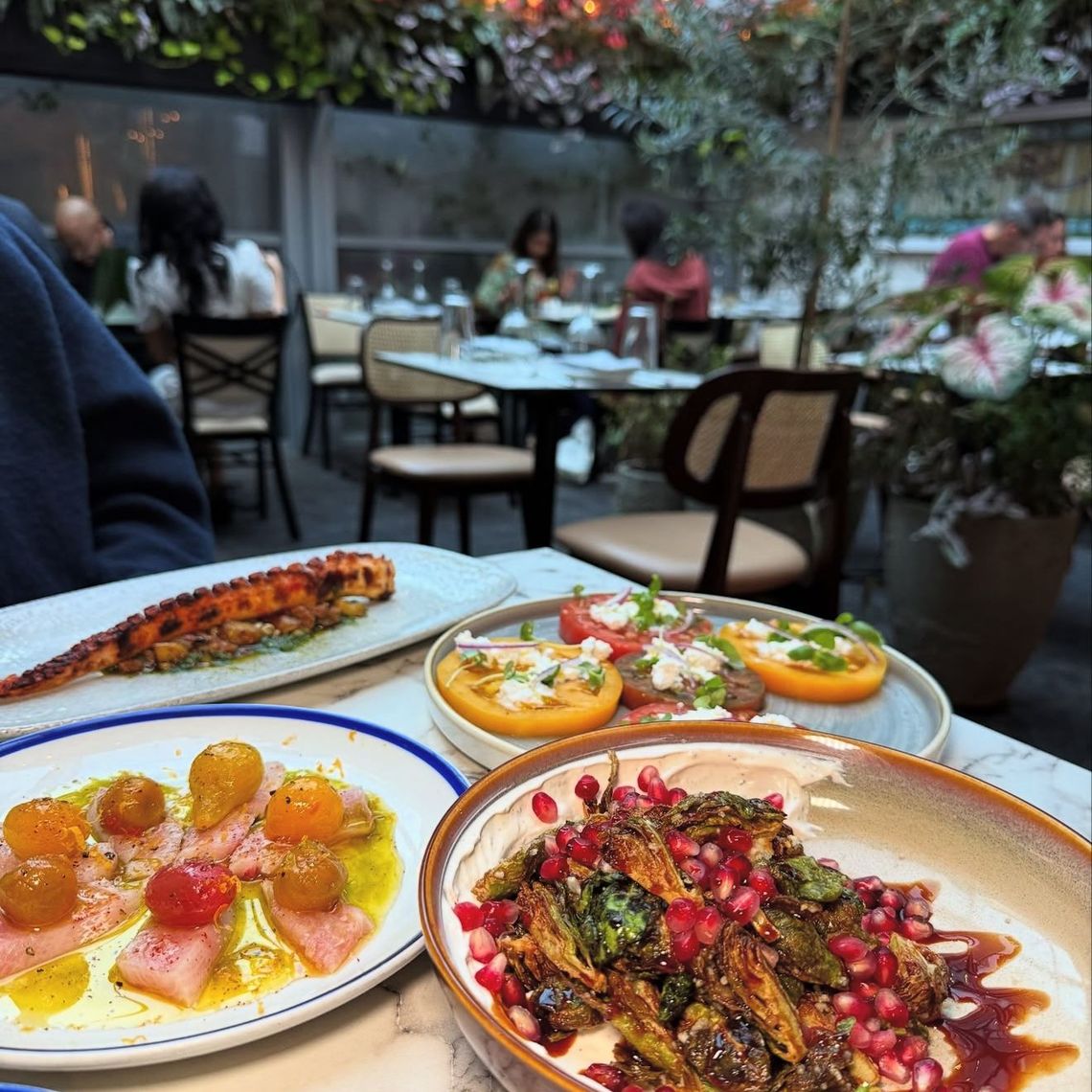 Ambrosia Ristorante